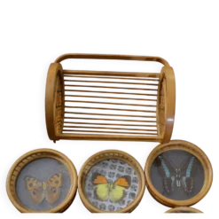 Lot de dessous de verre papillons