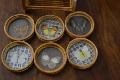 Lot de dessous de verre papillons