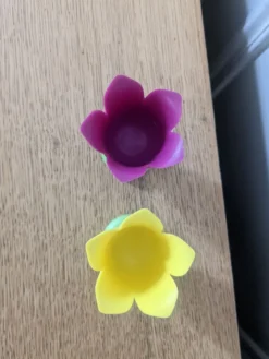 Lot de deux coquetiers tulipes