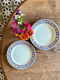 Lot de deux plats vintage - Robinson de Badonvillier