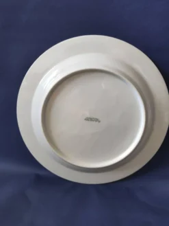 Lot de Lot de 6 assiettes plates et 4 assiettes dessert,en porcelaine