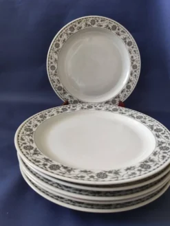 Lot de Lot de 6 assiettes plates et 4 assiettes dessert,en porcelaine