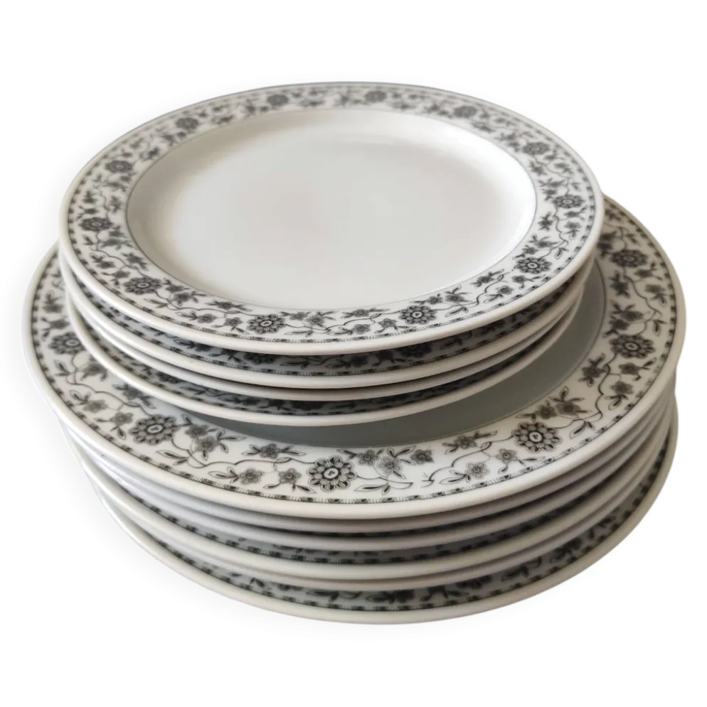 Lot de Lot de 6 assiettes plates et 4 assiettes dessert,en porcelaine