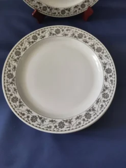 Lot de Lot de 6 assiettes plates et 4 assiettes dessert,en porcelaine