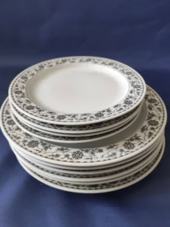 Lot de Lot de 6 assiettes plates et 4 assiettes dessert,en porcelaine