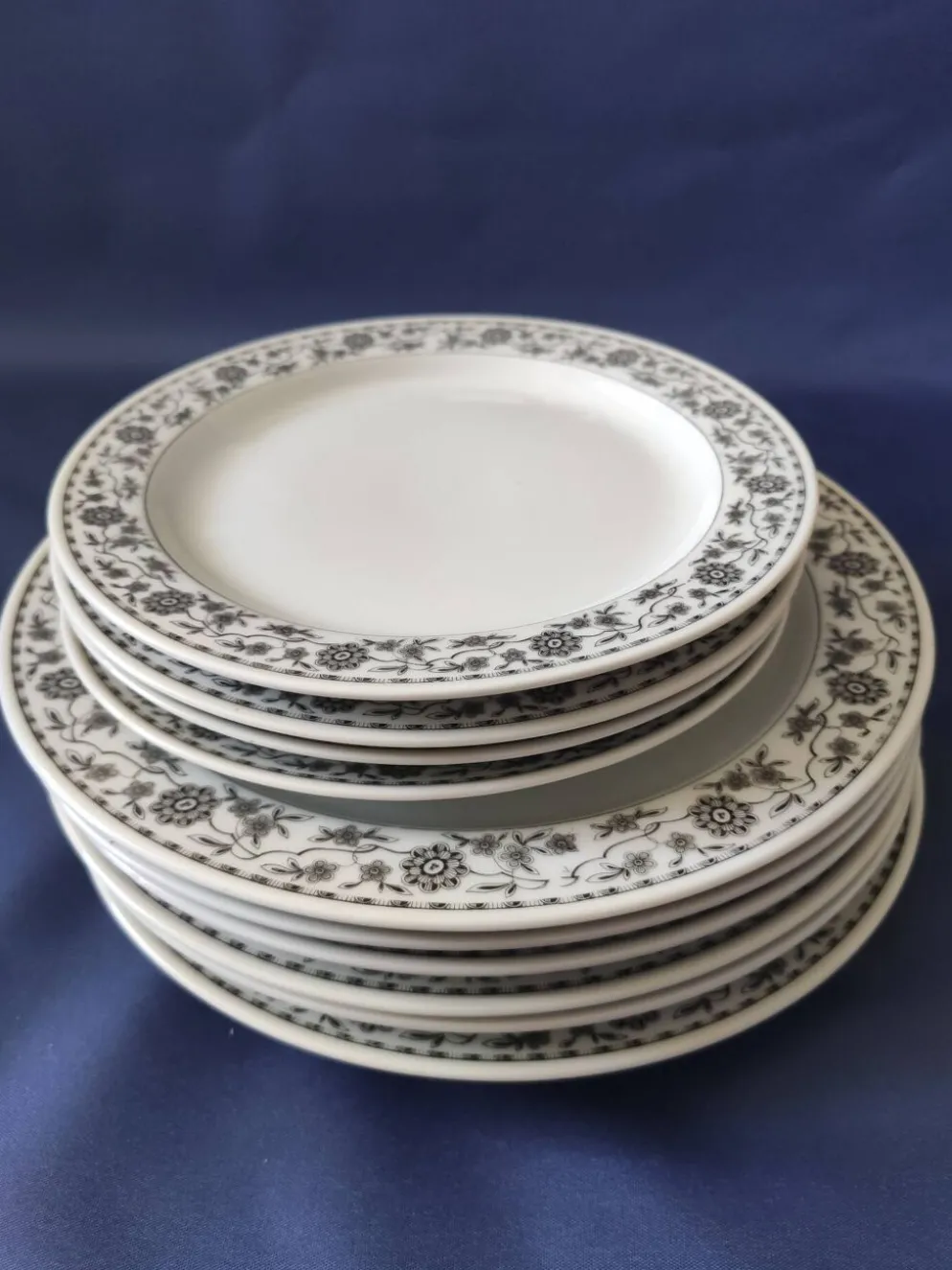 Lot de Lot de 6 assiettes plates et 4 assiettes dessert,en porcelaine