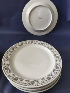 Lot de Lot de 6 assiettes plates et 4 assiettes dessert,en porcelaine