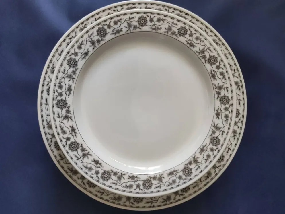 Lot de Lot de 6 assiettes plates et 4 assiettes dessert,en porcelaine