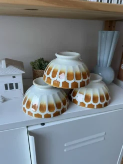 Lot de 3 magnifiques bols ancien vintage Digoin