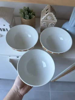 Lot de 3 magnifiques bols ancien vintage Digoin