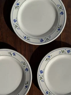 Lot de 3 petites assiettes à dessert frise de fleurs bleues pas de marque