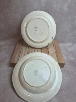 Lot de 2 plats Villeroy & Boch Mettlach 1562 – décor floral vintage