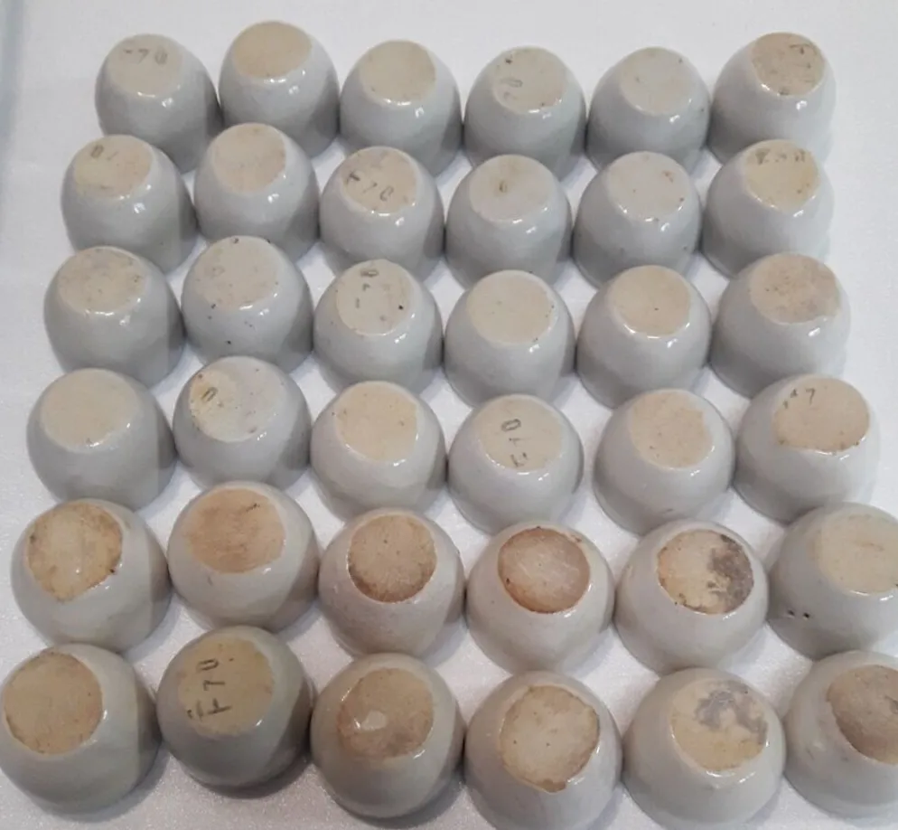 Lot de 36 pots à escargot godets