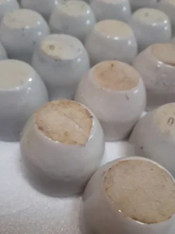 Lot de 36 pots à escargot godets