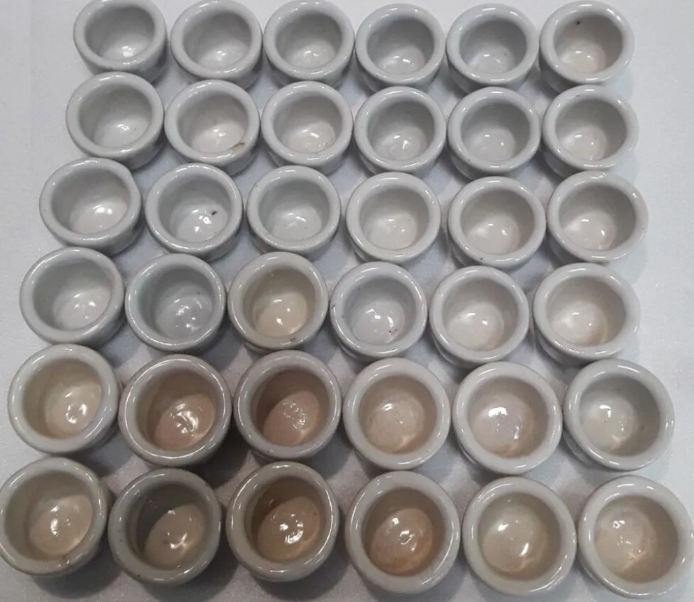 Lot de 36 pots à escargot godets