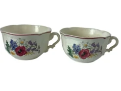 Lot de 2 tasses Sarreguemines - Modèle Agreste