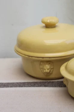 Lot de 5 terrines en céramique