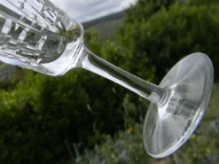 Lot de 6 verres à porto en cristal VILLEROY ET BOCH. Modèle Concorde.