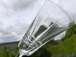 Lot de 6 verres à porto en cristal VILLEROY ET BOCH. Modèle Concorde.