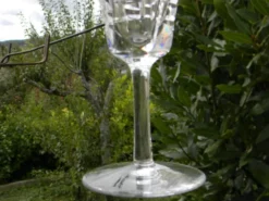Lot de 6 verres à porto en cristal VILLEROY ET BOCH. Modèle Concorde.