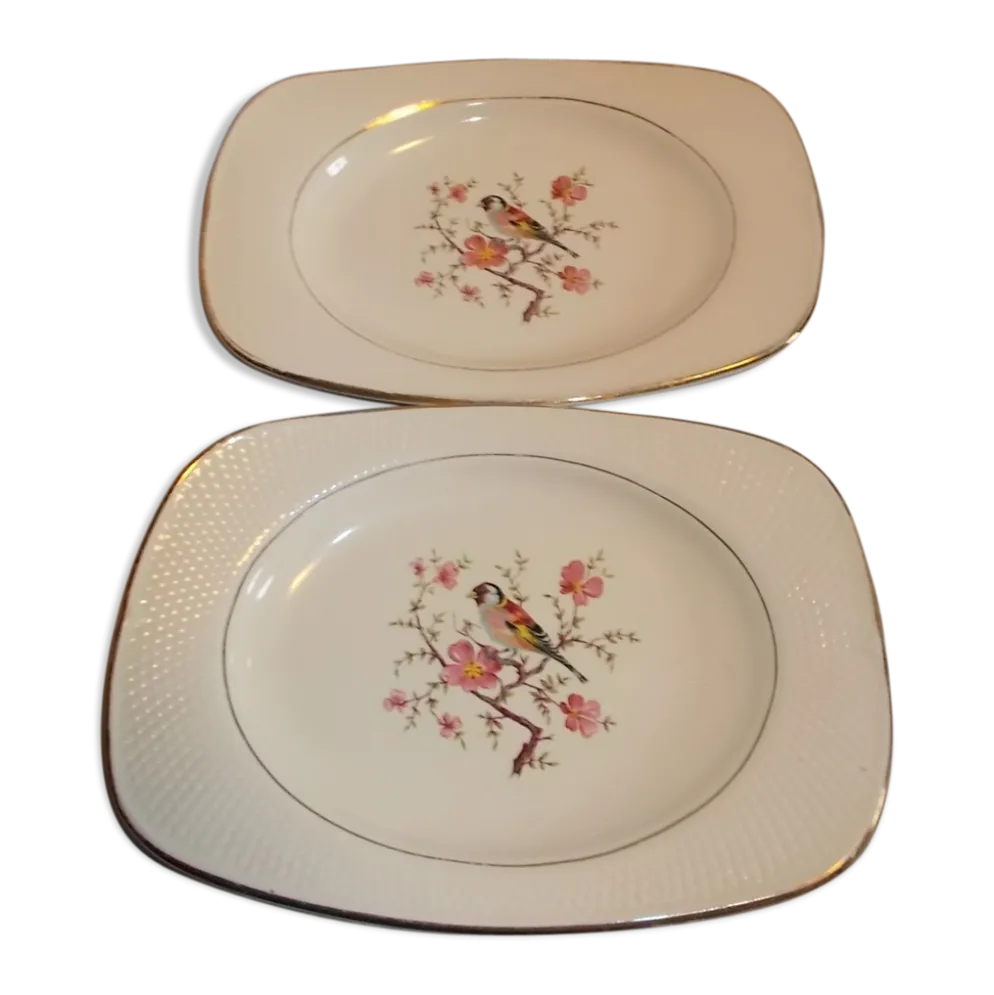 Lot 2 plats raviers salins France