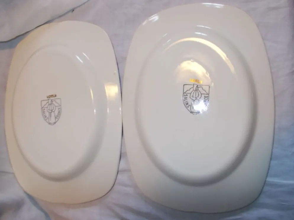 Lot 2 plats raviers salins France
