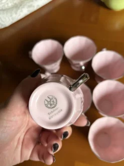 Magnifique service à café en porcelaine rose – Haas & Czjzek, Schl