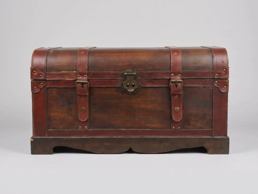 Malle en bois cuir et métal ultra chic et élégant dans un salon ou une chambre