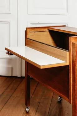 Meuble bar sur roulette vintage