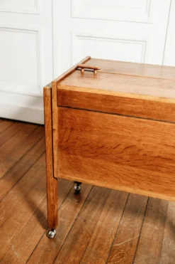 Meuble bar sur roulette vintage