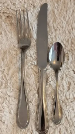 Ménagère Guy degrenne, 49 pièces