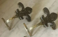 Paire d’anciennes patères fleur de lys en bronze doré