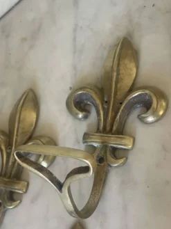 Paire d’anciennes patères fleur de lys en bronze doré