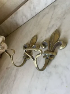 Paire d’anciennes patères fleur de lys en bronze doré