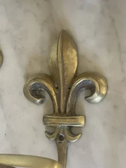 Paire d’anciennes patères fleur de lys en bronze doré