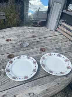 Paire d’assiettes Hamage Moulin des Loups