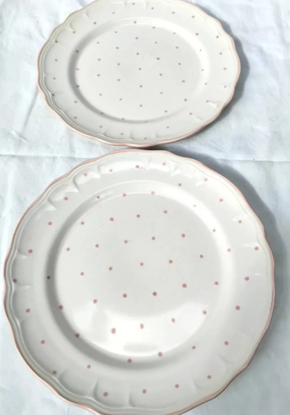 Paire d'assiettes plates vintage Salins les Bains peintes à la main
