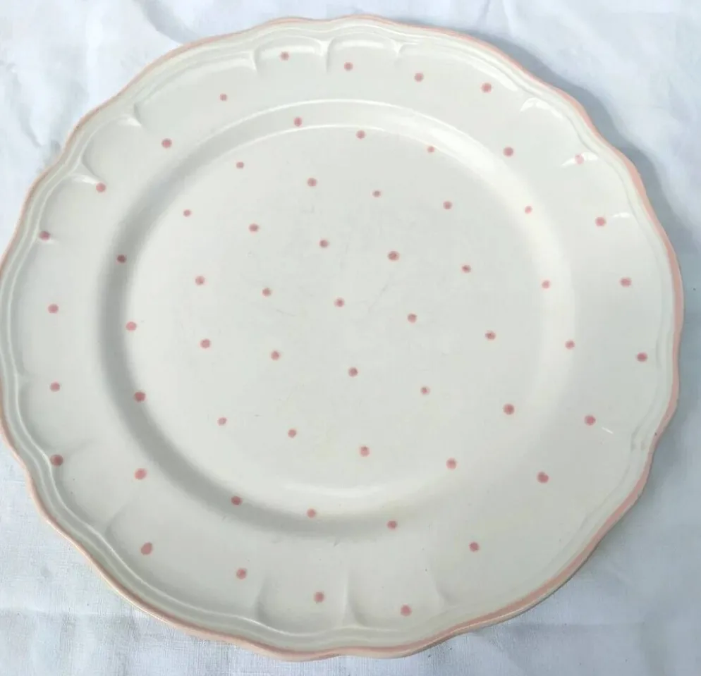 Paire d'assiettes plates vintage Salins les Bains peintes à la main