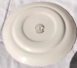 Paire d'assiettes plates vintage Salins les Bains peintes à la main