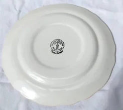 Paire d'assiettes plates vintage Salins les Bains peintes à la main