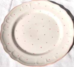 Paire d'assiettes plates vintage Salins les Bains peintes à la main