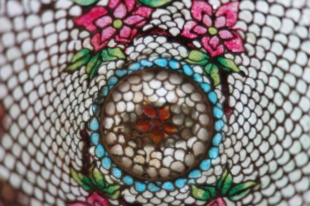 Paire de bols vintage Plique-à-jour émail cloisonné, Chine
