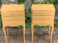 Paire de chevets vintage de style Louis XV
