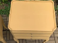 Paire de chevets vintage de style Louis XV
