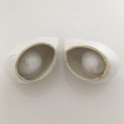Paire de coquetiers oiseaux