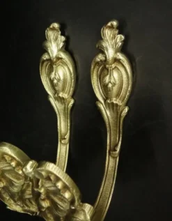 Paire d'embrasses style Rocaille / Rococo du XIXe - bronze doré