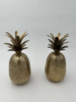 Paire de Seaux à Glace 