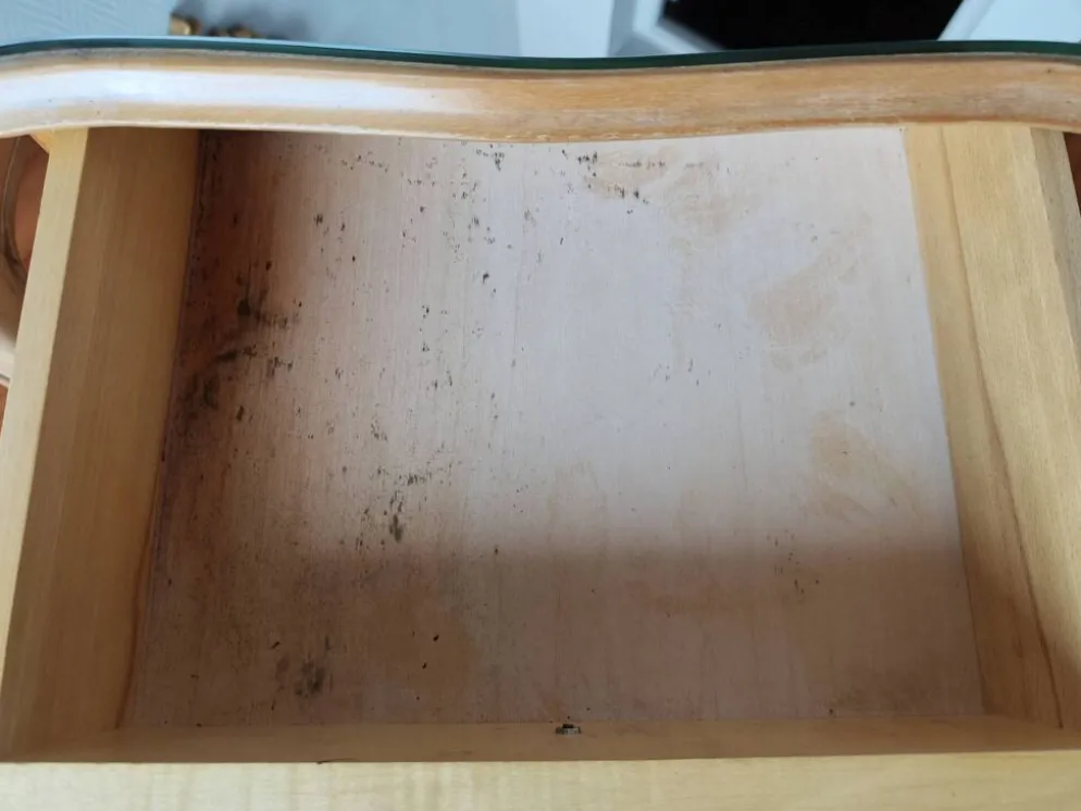 Paire de tables de chevet Françaises dans le goût de Jean Pascaud