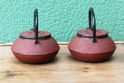 Paire de théières japonaises individuelles