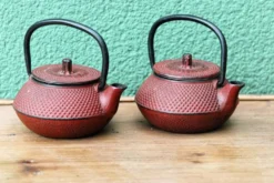 Paire de théières japonaises individuelles